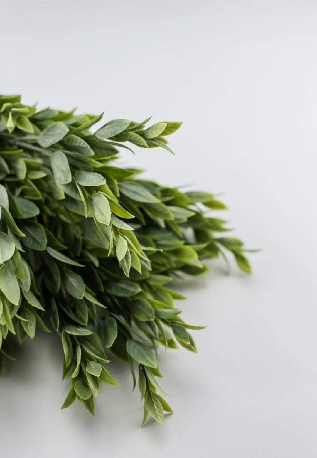 Artificial ruscus bush - Greenery Market25750