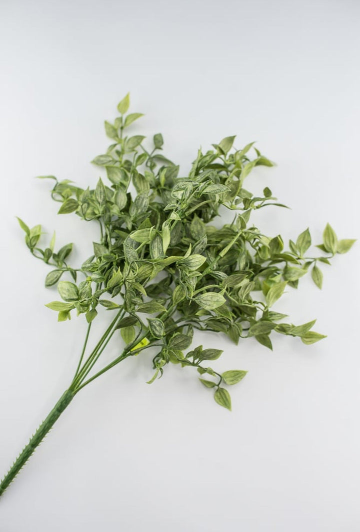 Artificial ruscus, greenery bush - Greenery Marketgreenery13515GN