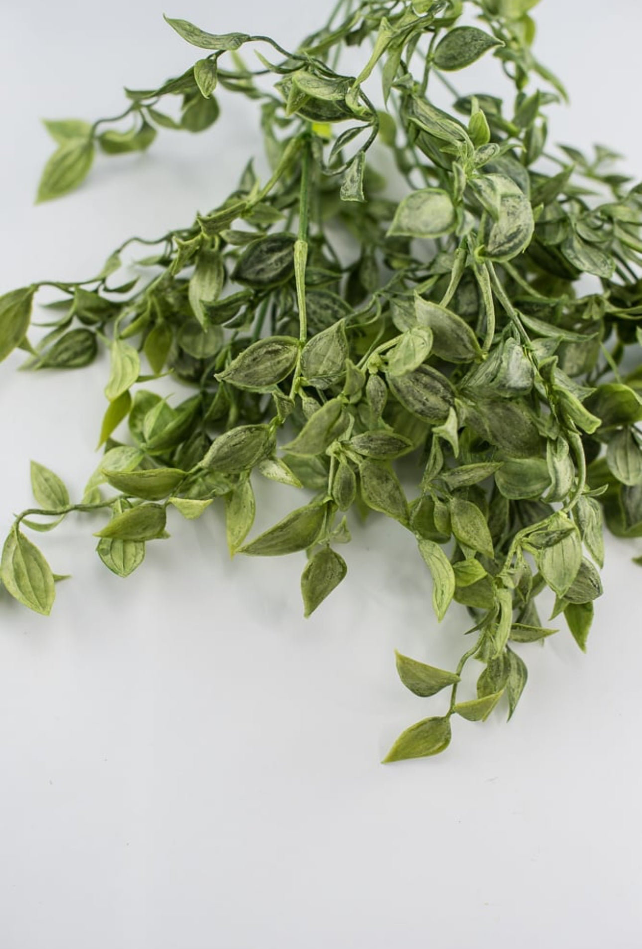 Artificial ruscus, greenery bush Greenery Market