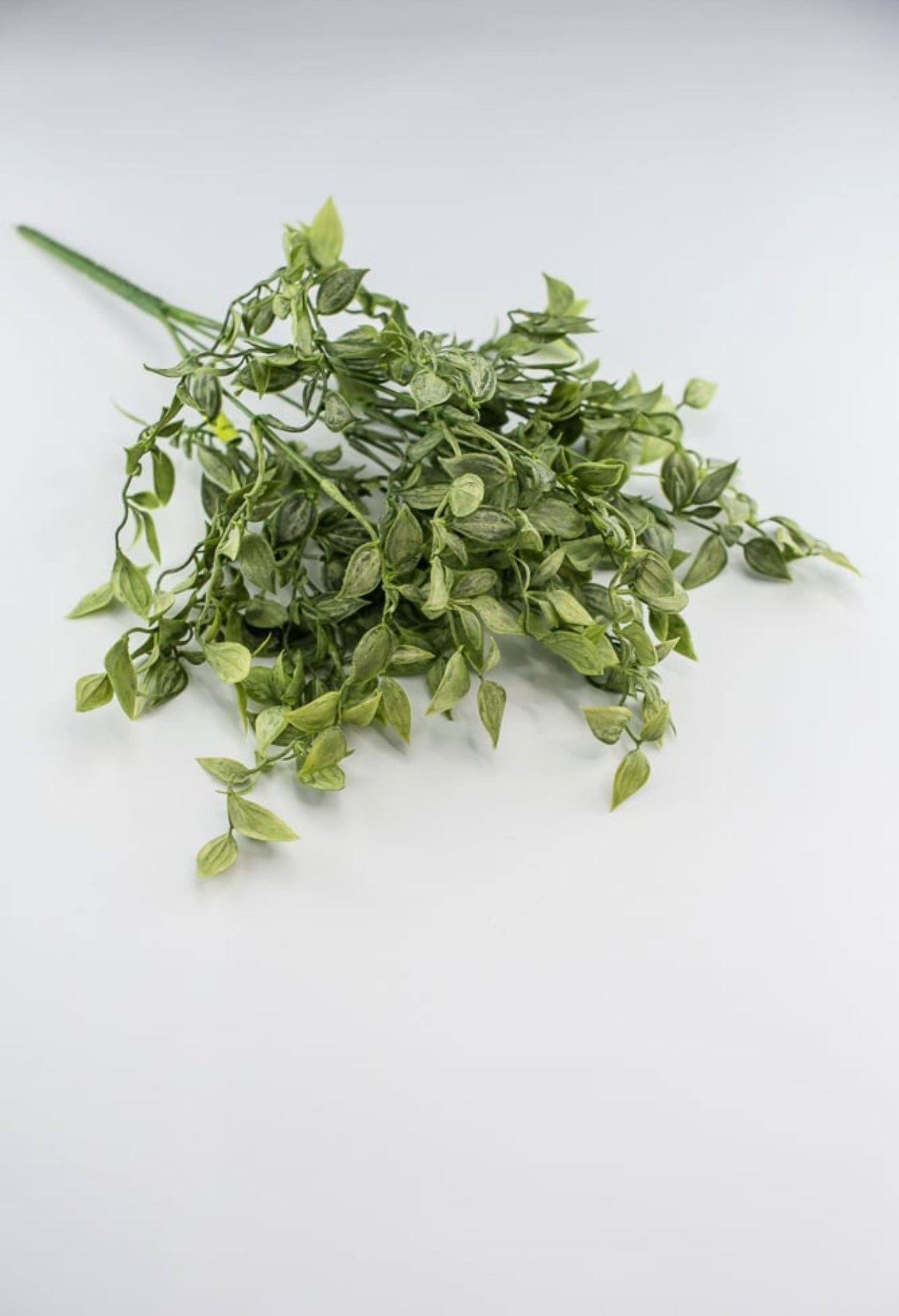 Artificial ruscus, greenery bush Greenery Market