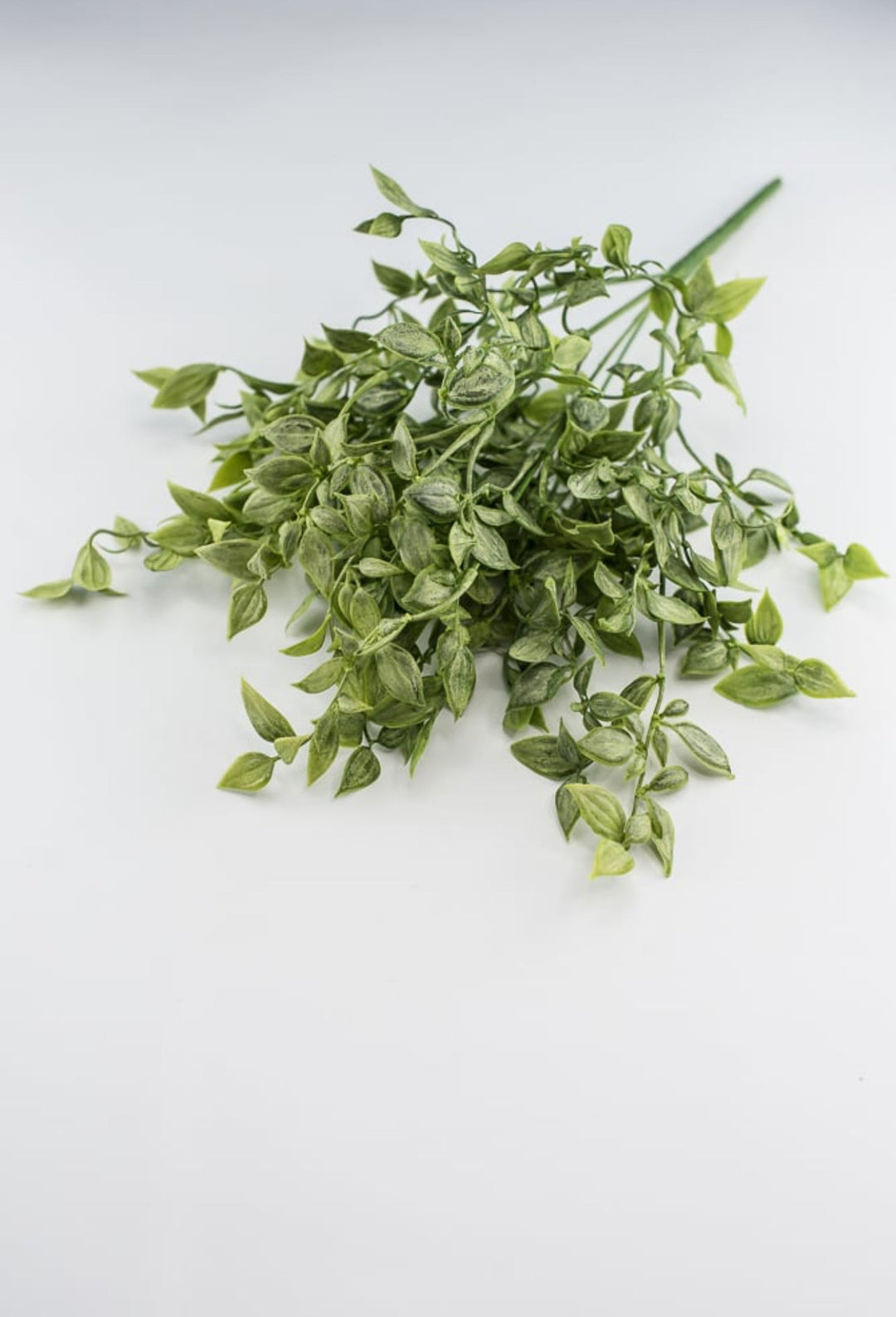 Artificial ruscus, greenery bush - Greenery Marketgreenery13515GN