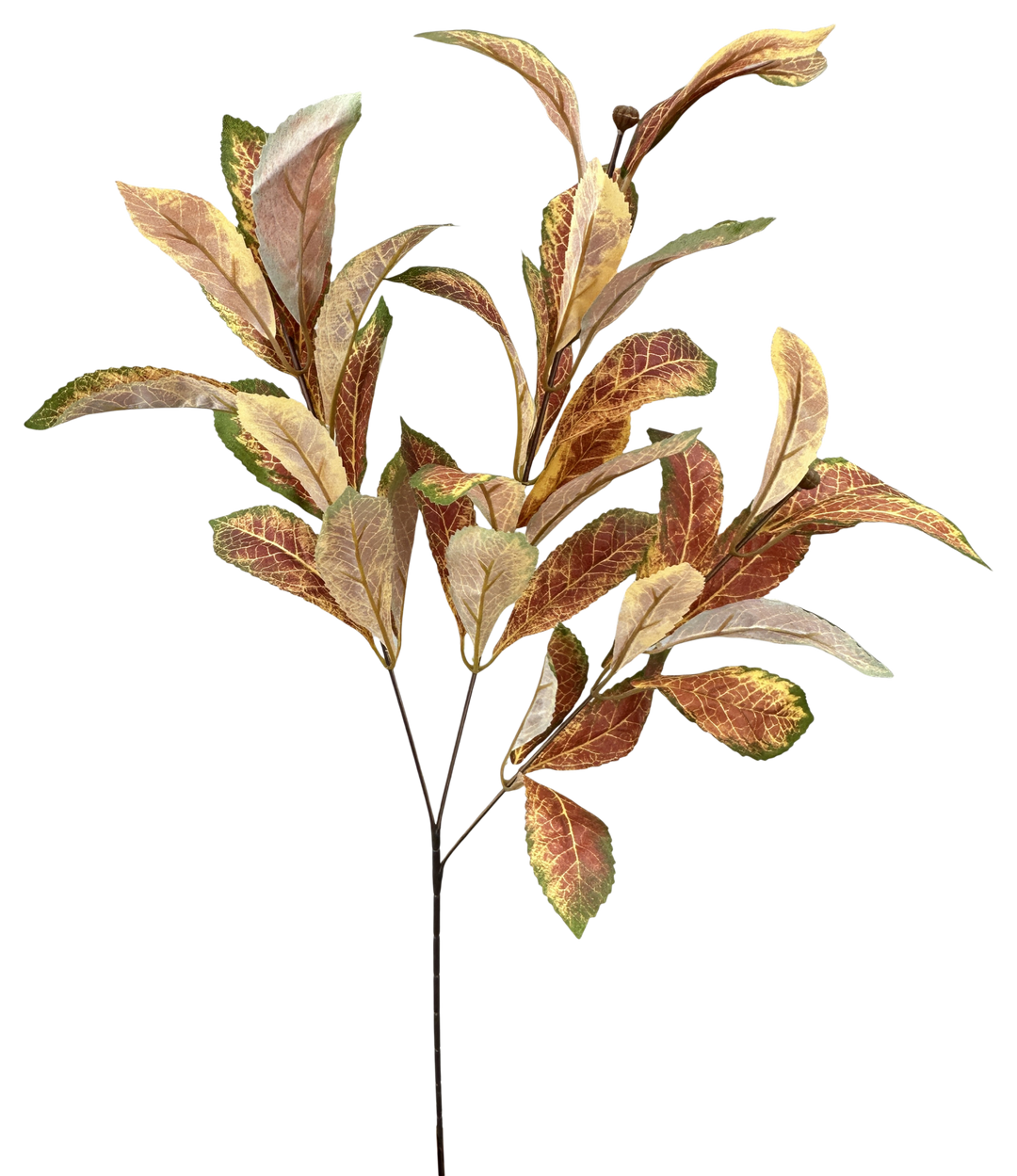 Artificial Rust Loquat Leaves Spray - 26" - Greenery Market57447RUST