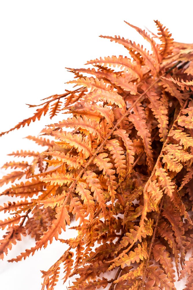 Artificial, Rusty Orange, Leather Fern Bush - 20" - Greenery MarketArtificial Flora85918-UV-OR