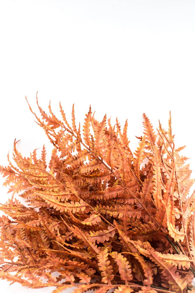 Artificial, Rusty Orange, Leather Fern Bush - 20" - Greenery MarketArtificial Flora85918-UV-OR