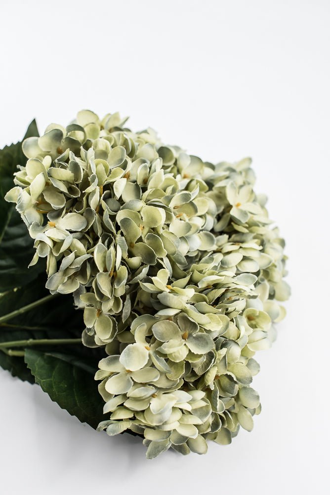 Artificial, Sage Green, Hydrangea Bush - 19" - Greenery MarketArtificial Flora57328SAGE