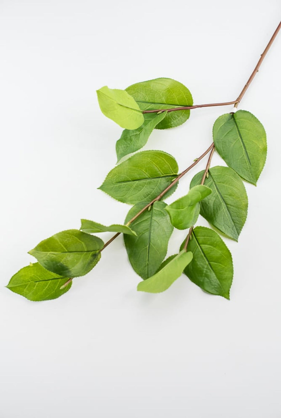 Artificial salal leaf spray 32” - Greenery Market2310390GR