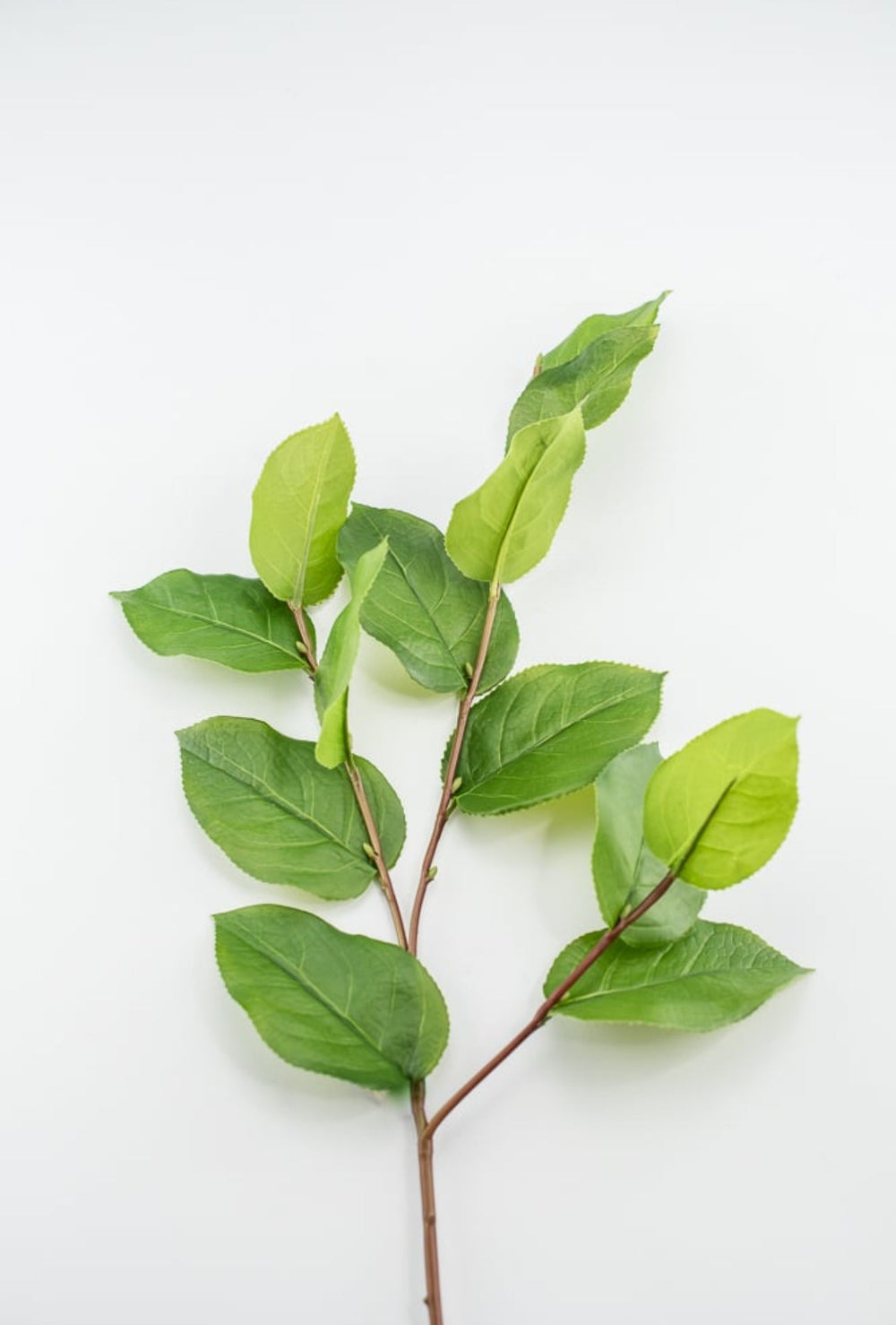 Artificial salal leaf spray 32” - Greenery Market2310390GR