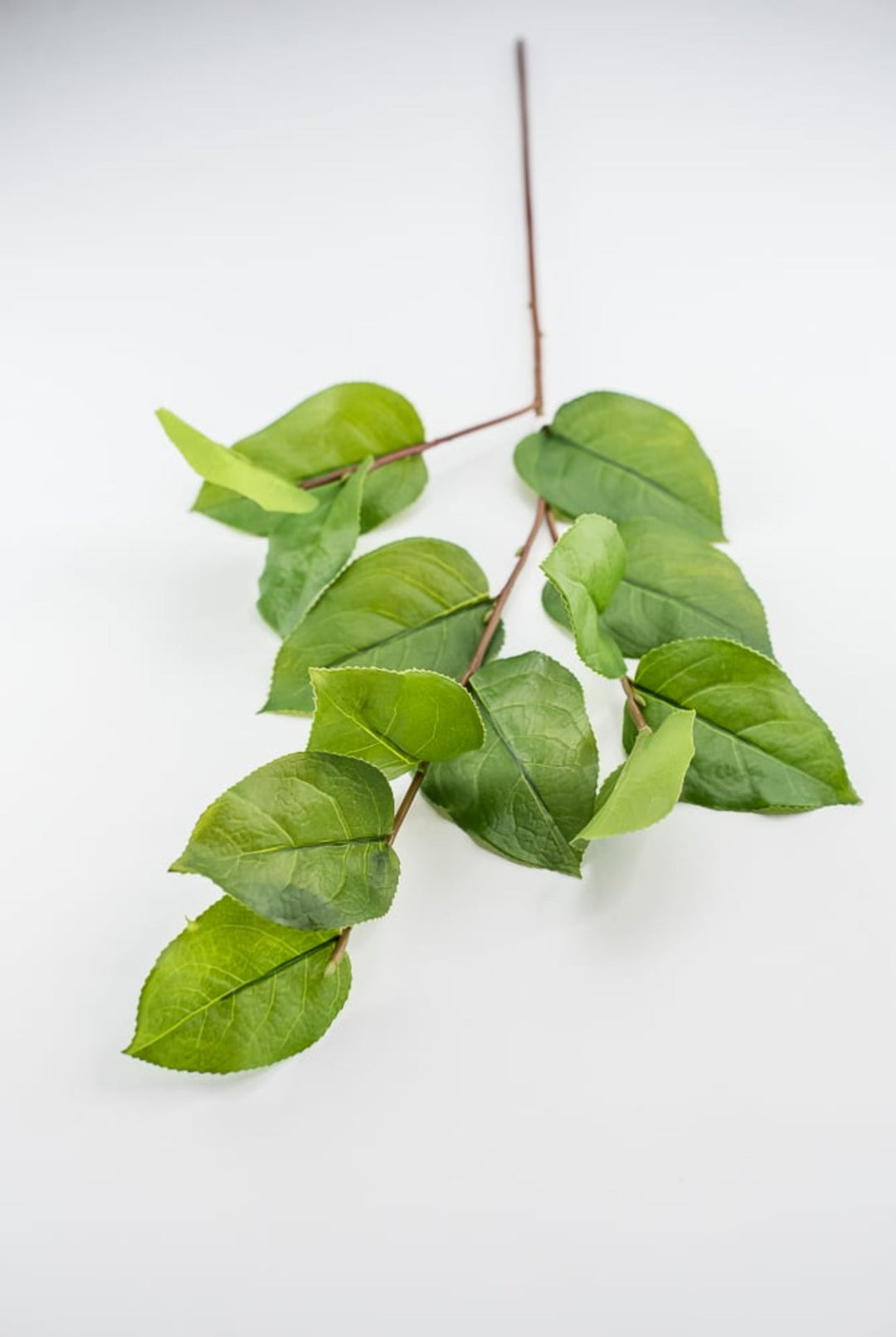 Artificial salal leaf spray 32” - Greenery Market2310390GR