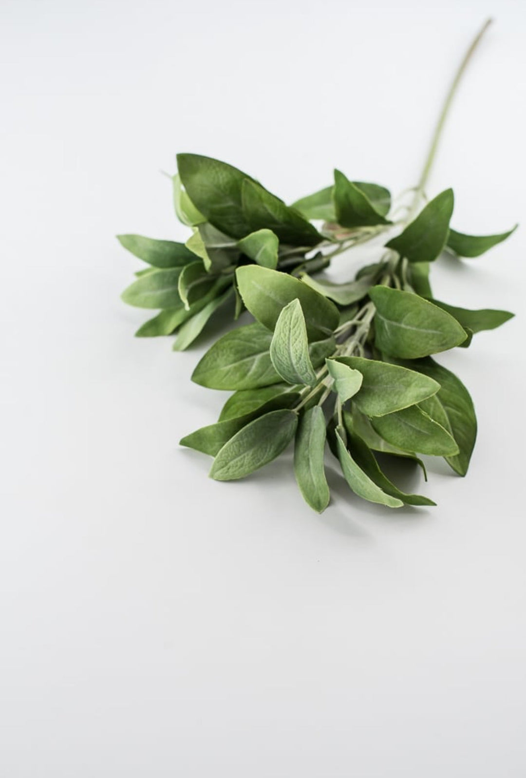 Artificial salvia leaf spray - Greenery Market2310361GR