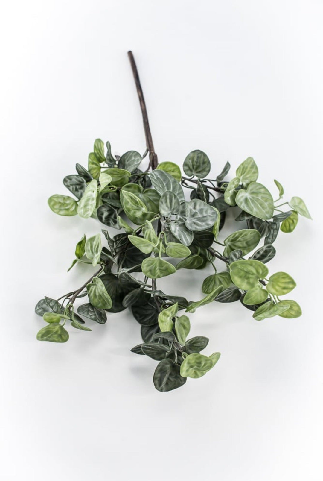 Artificial small leaf, variegated, greenery bush - Greenery MarketArtificial Flora25992