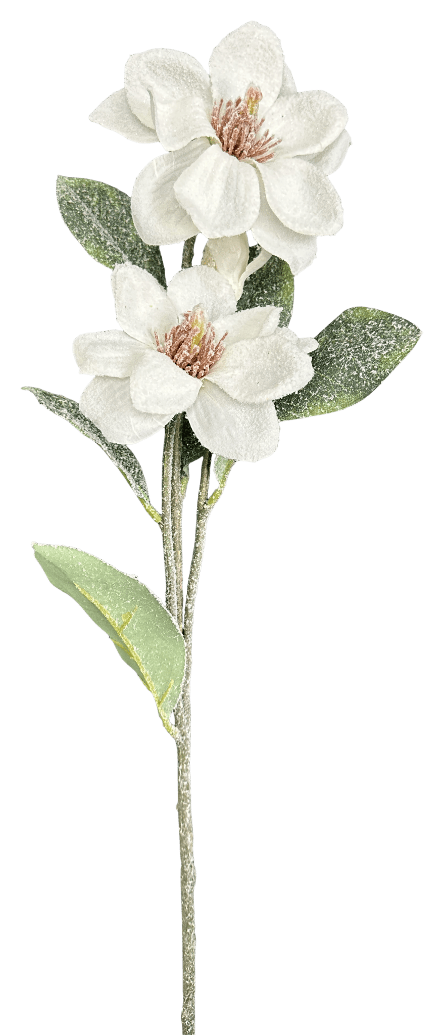 Artificial Snow Magnolia Spray - 30" - Greenery MarketArtificial Flora86953SNOW