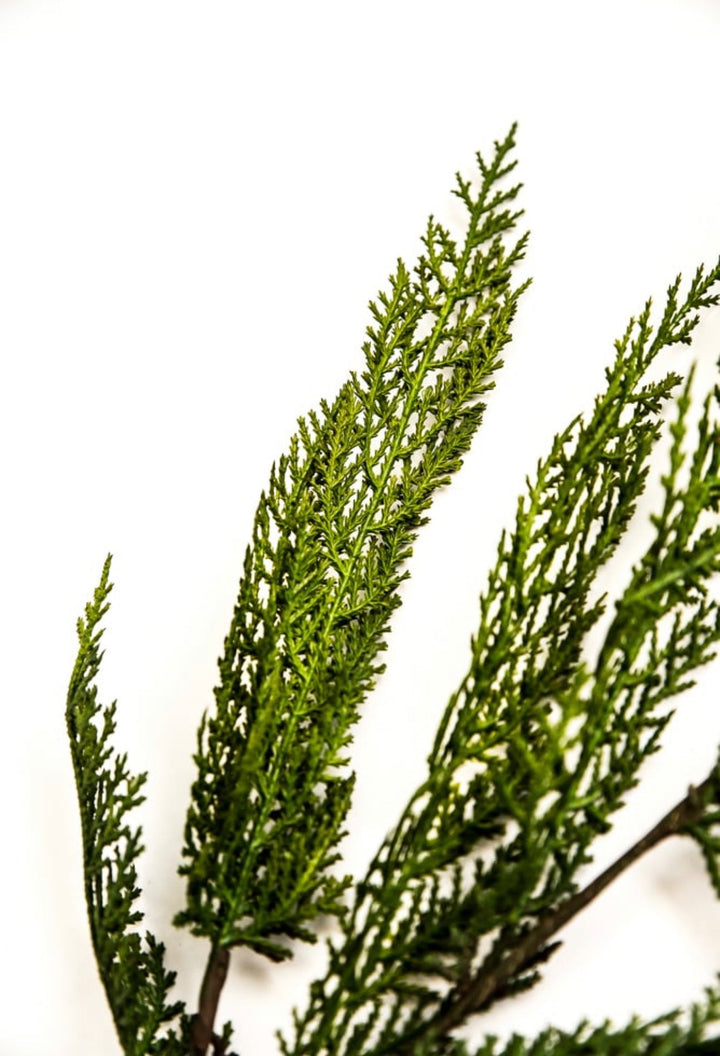 Artificial soft cedar spray - Greenery Marketgreenery279142