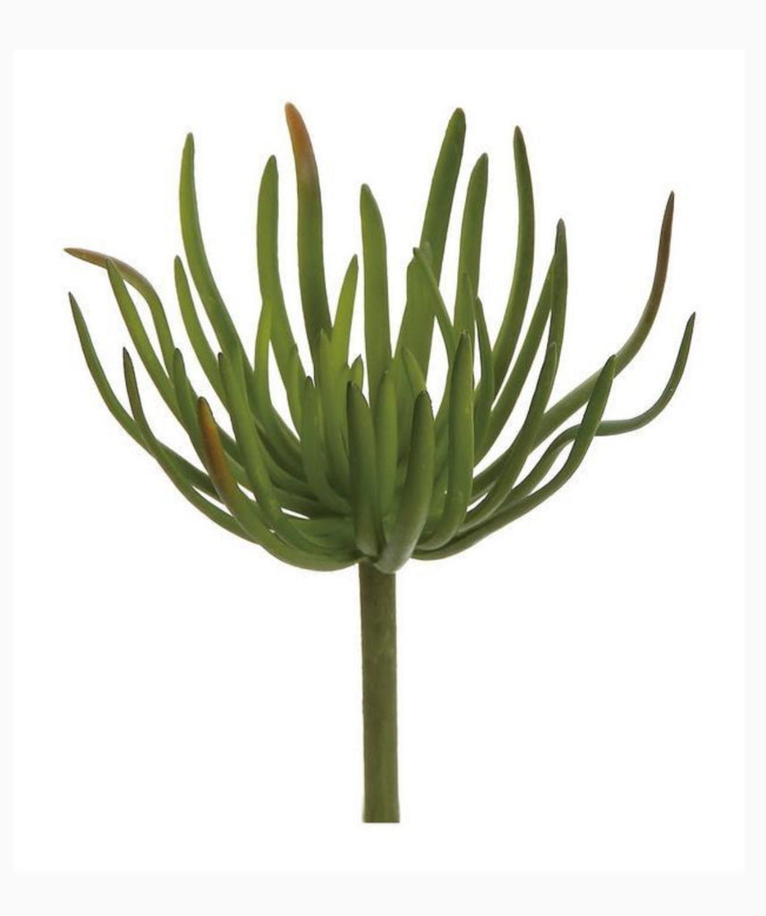 succulent spikes Artificial spike succulent pick