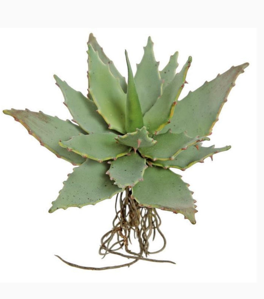 spiny leaf succulent Artificial spiny leaf succulent pick