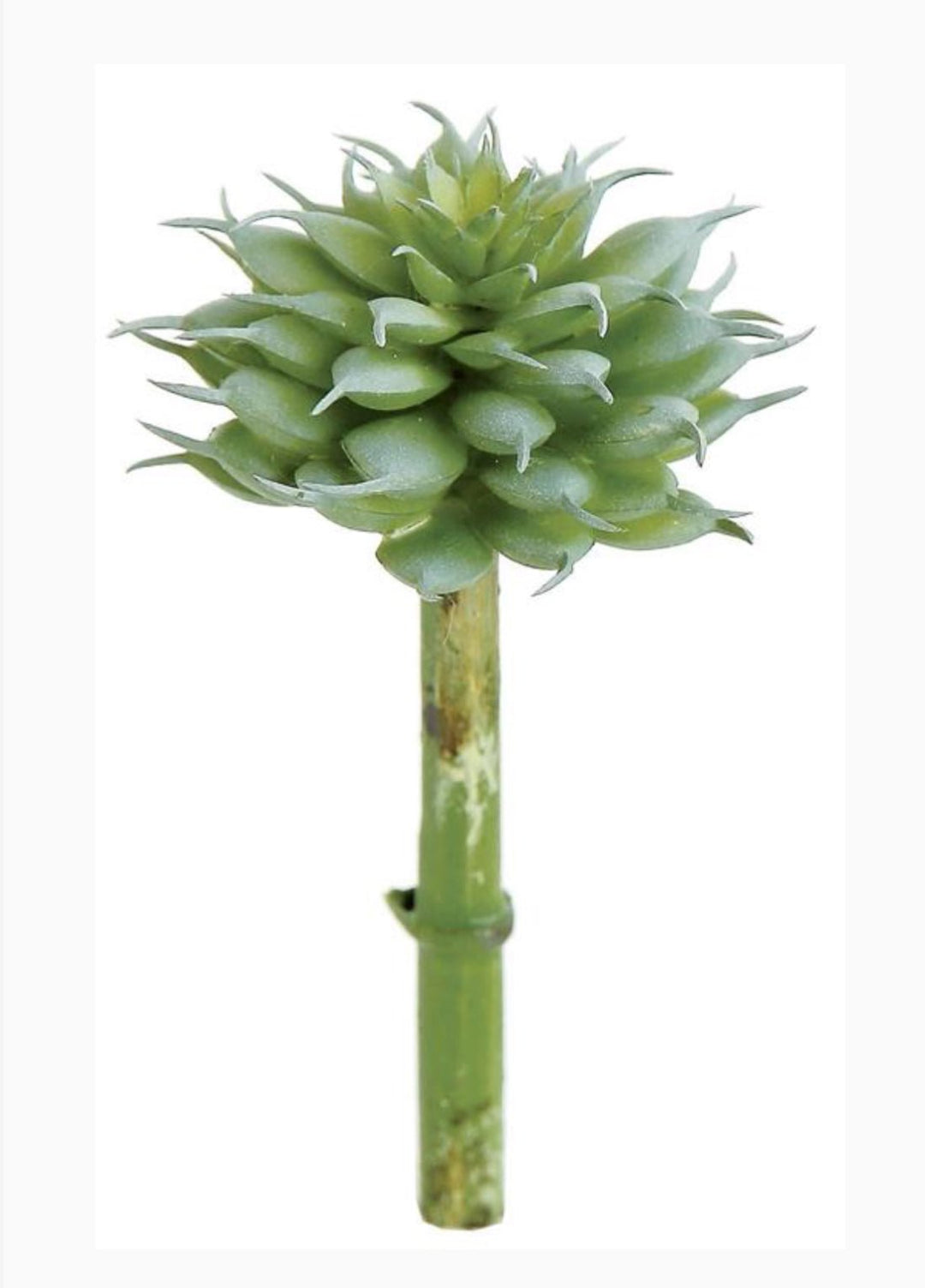 a spiny succulent Artificial Spiny Succulent Pick