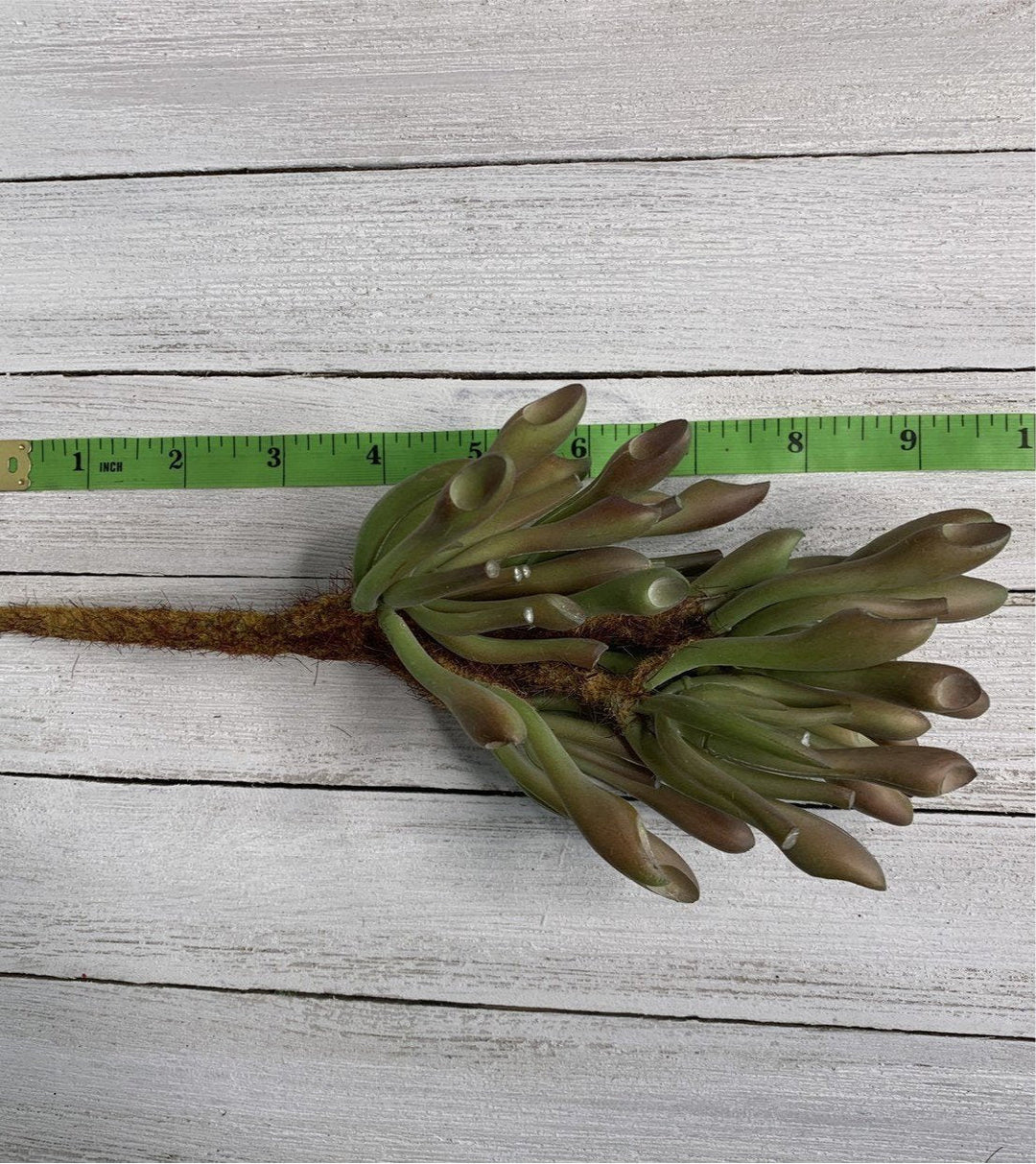 artificial succulent stems Artificial succulent, tube succulent,