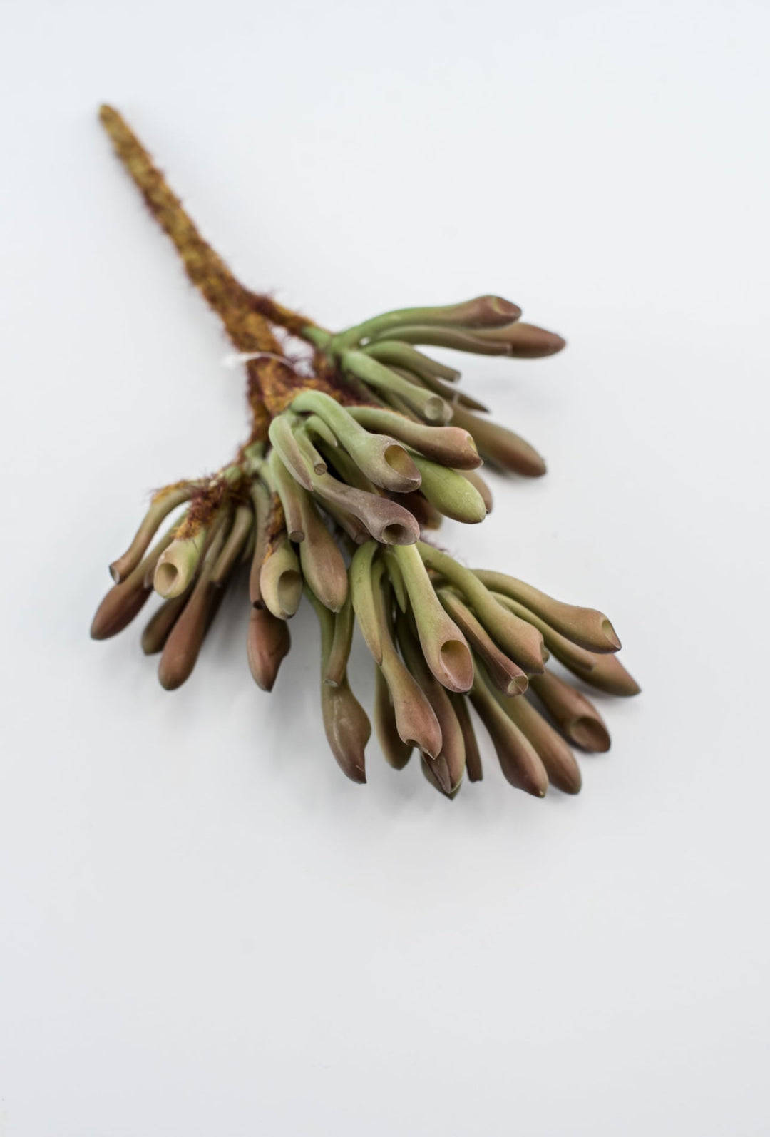 succulent tube plant Artificial succulent, tube succulent,