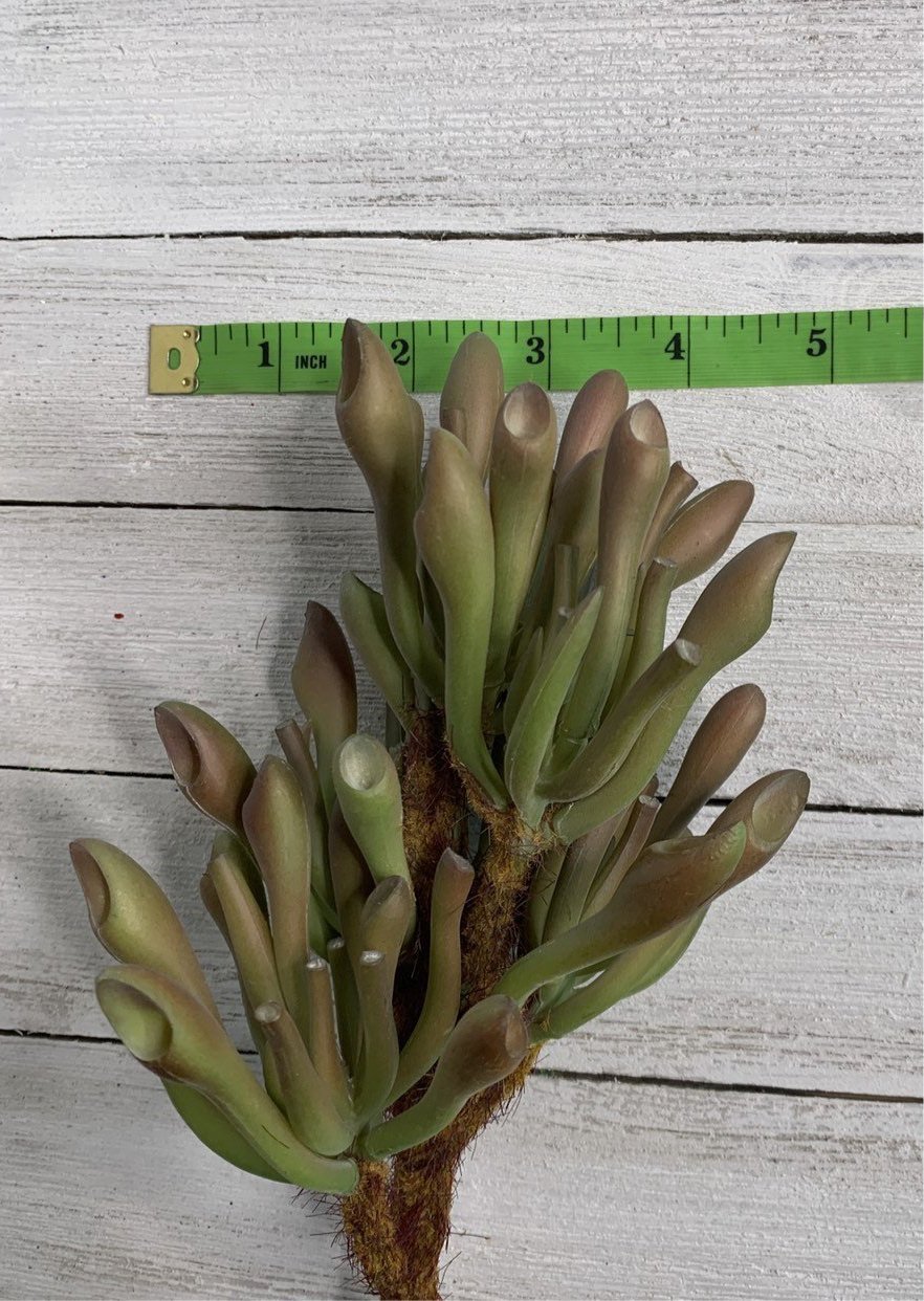 succulent plant tubes Artificial succulent, tube succulent,