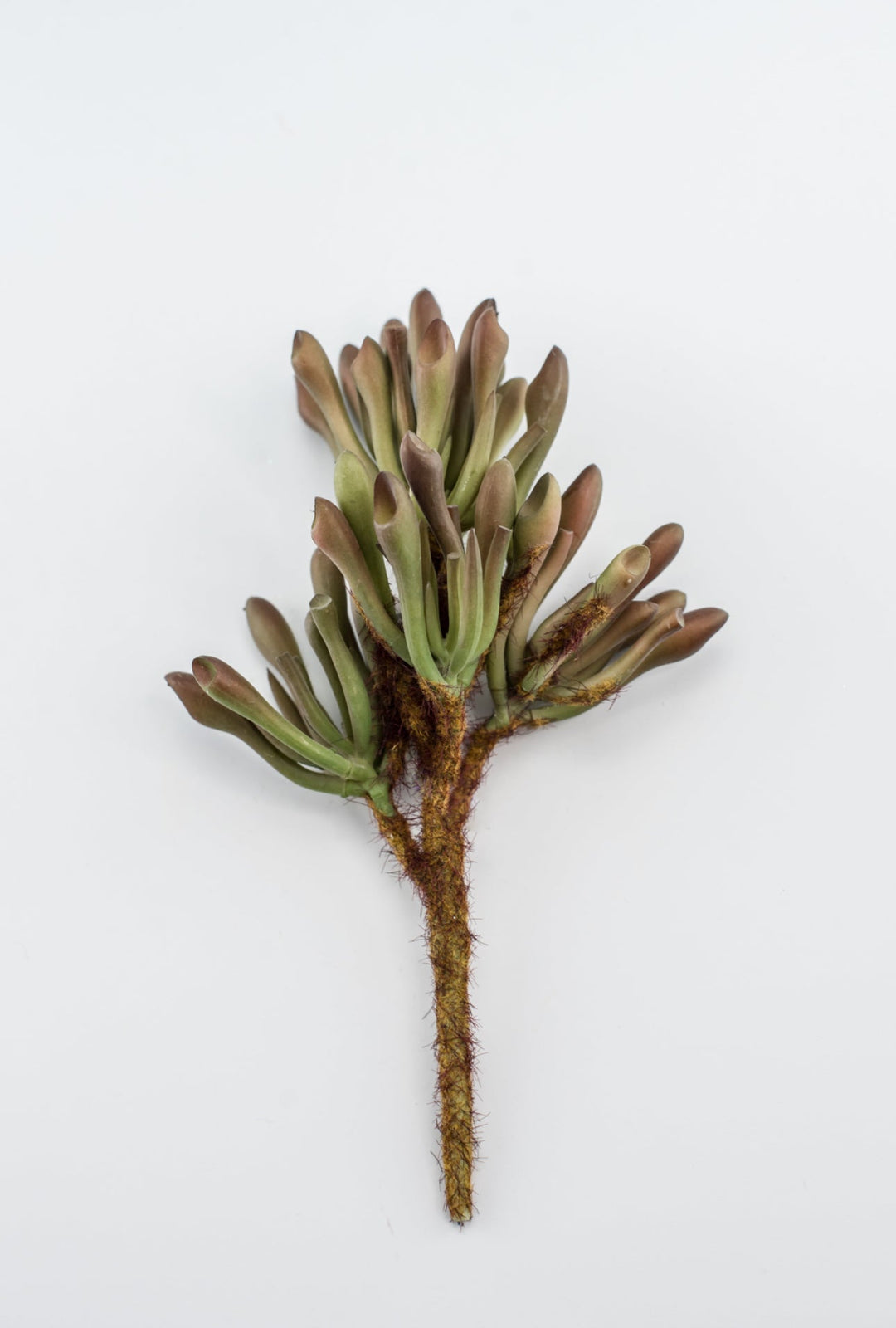 tube succulent plant Artificial succulent, tube succulent,