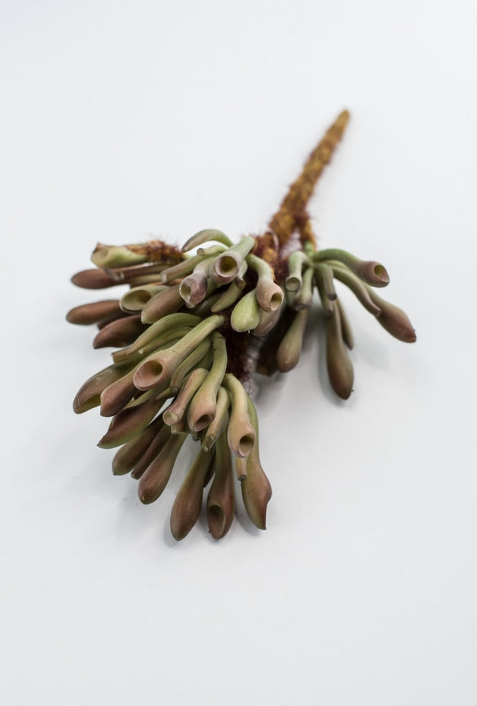 tube like succulent plant Artificial succulent, tube succulent,