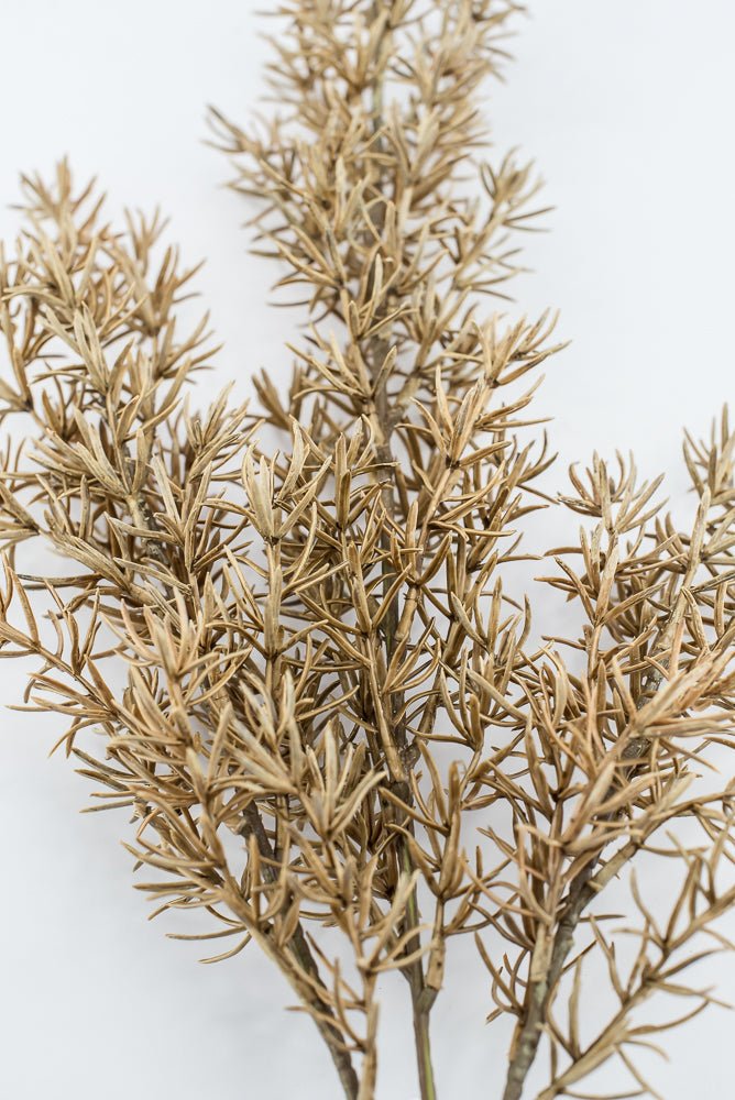 Artificial, Tan, Asparagus Fern Spray - Greenery MarketArtificial FloraPSF643-BE/GR