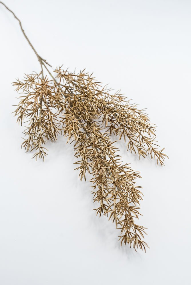 Artificial, Tan, Asparagus Fern Spray - Greenery MarketArtificial FloraPSF643-BE/GR