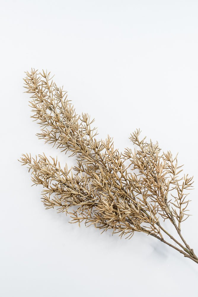 Artificial, Tan, Asparagus Fern Spray - Greenery MarketArtificial FloraPSF643-BE/GR