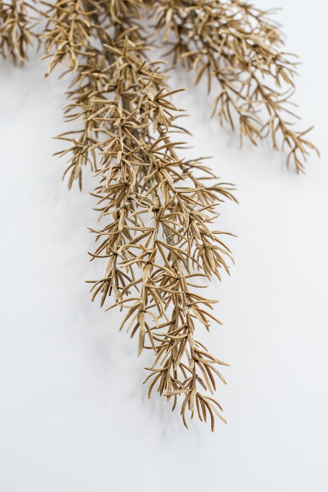 Artificial, Tan, Asparagus Fern Spray - Greenery MarketArtificial FloraPSF643-BE/GR