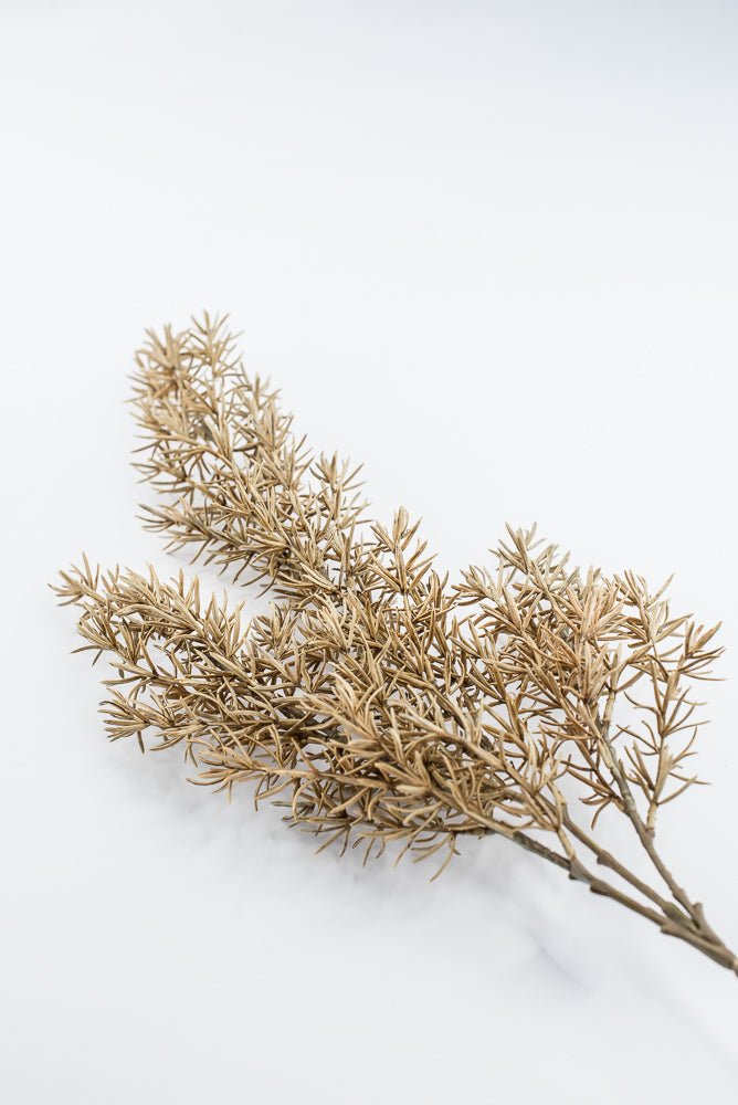 Artificial, Tan, Asparagus Fern Spray - Greenery MarketArtificial FloraPSF643-BE/GR