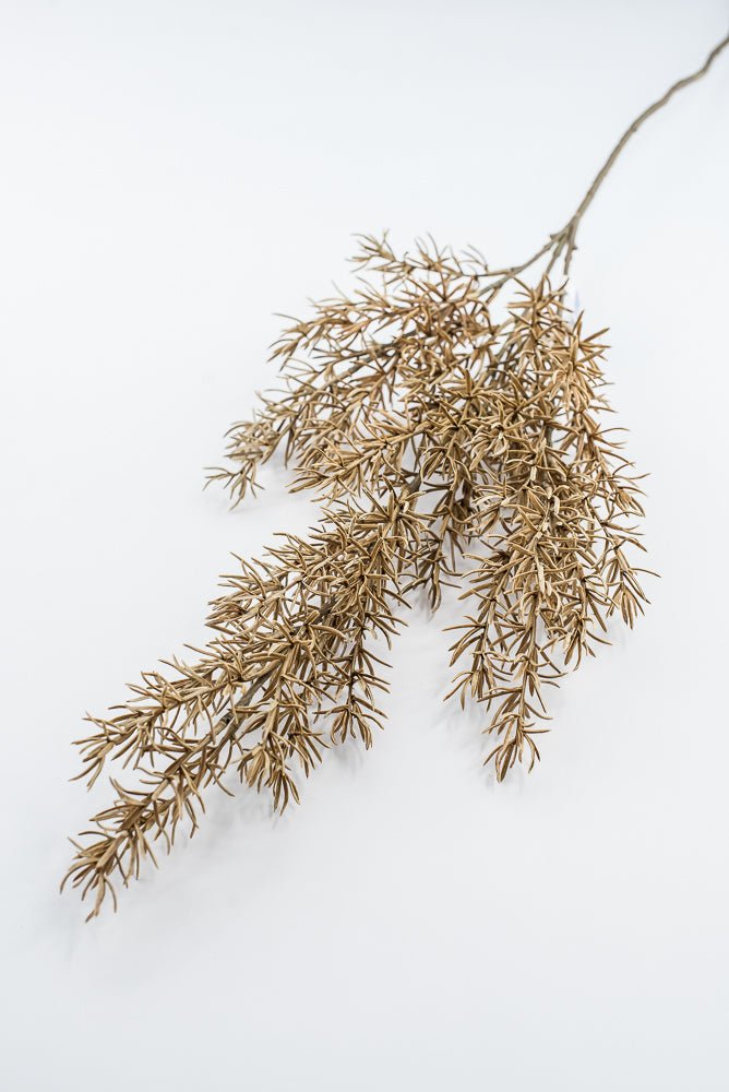 Artificial, Tan, Asparagus Fern Spray - Greenery MarketArtificial FloraPSF643-BE/GR