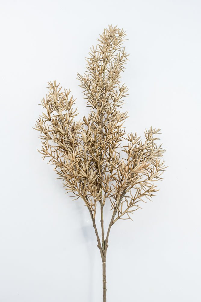 Artificial, Tan, Asparagus Fern Spray - Greenery MarketArtificial FloraPSF643-BE/GR