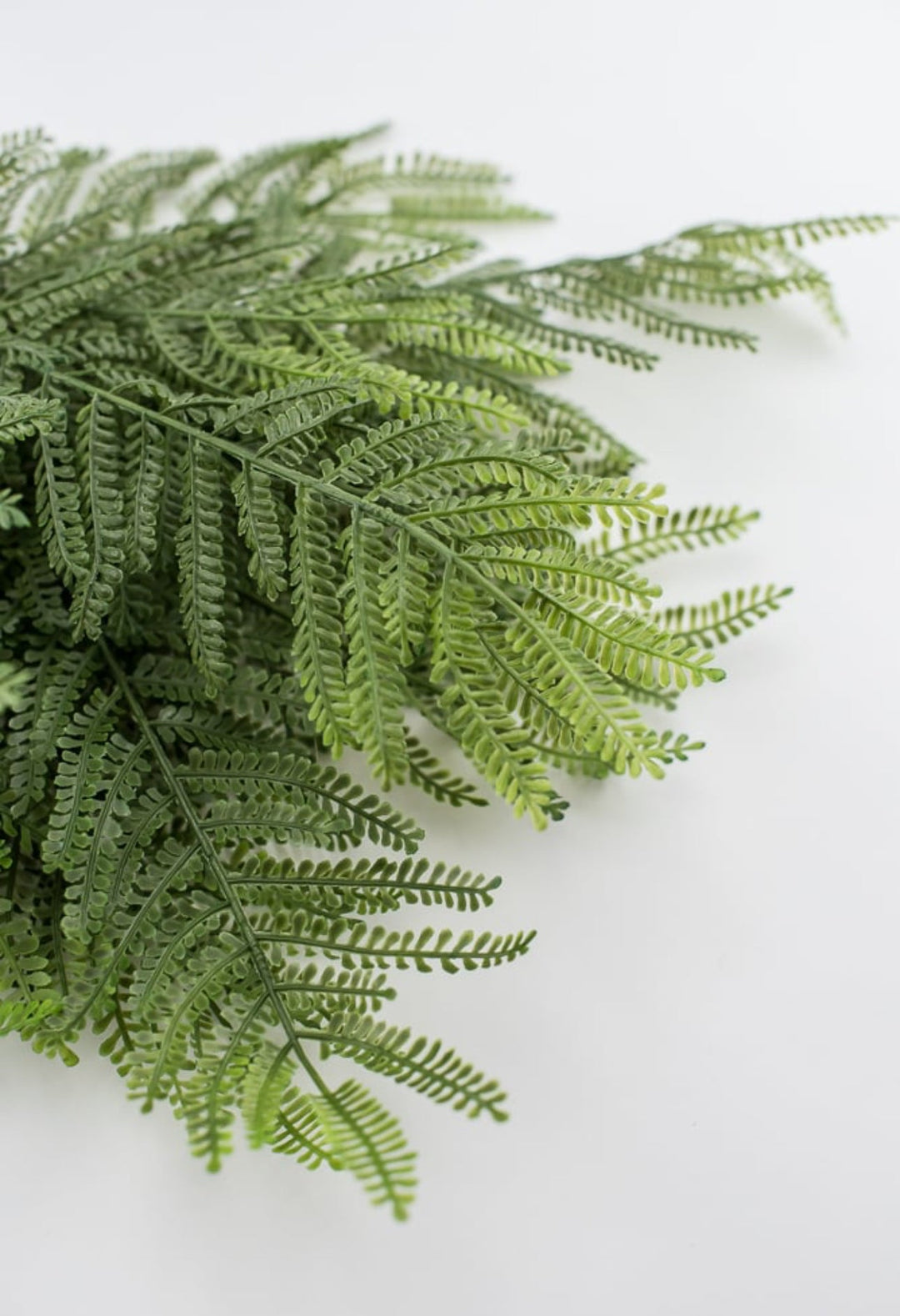 Artificial thelypteridaceae fern bush - Greenery Market27505