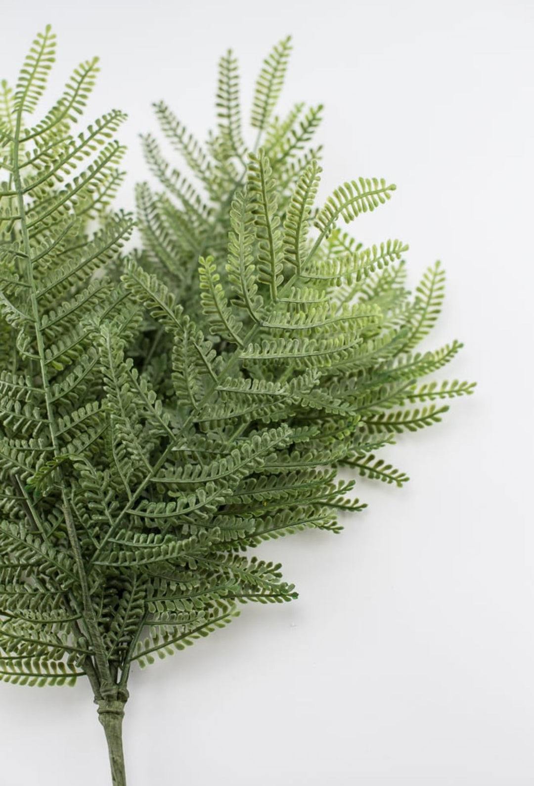 Artificial thelypteridaceae fern bush - Greenery Market27505