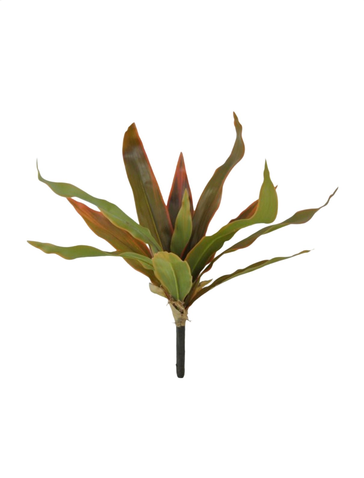 Artificial, tropical, red dracaena container bush - Greenery Marketgreenery81616