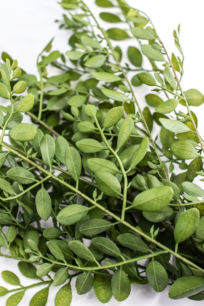 Artificial, UV Locust Bush - Greenery MarketPBL012 - GR