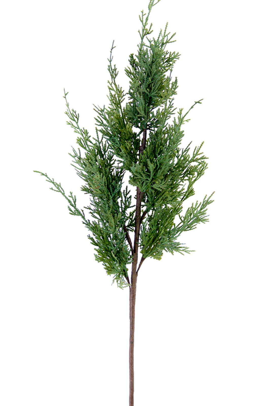 Artificial, varigated, cedar spray - Greenery Marketgreenery2830338GR