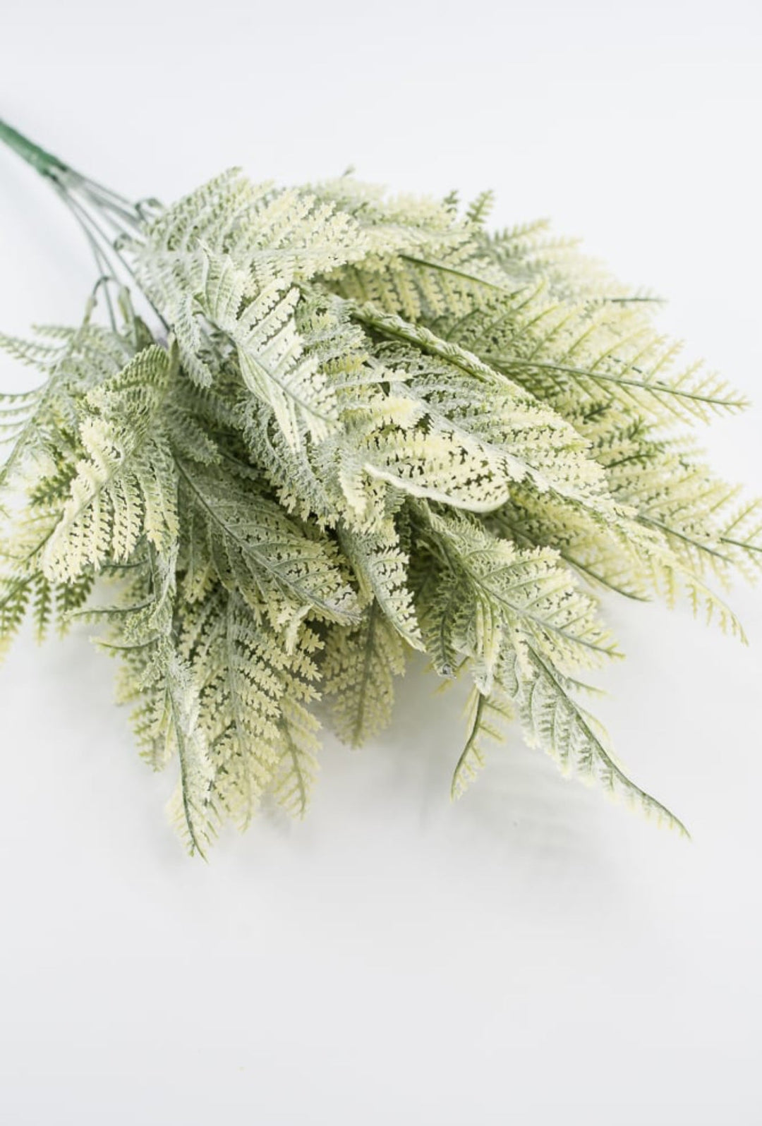 Artificial Winter leather leaf fern - lightly flocked - Greenery Marketgreenery81821