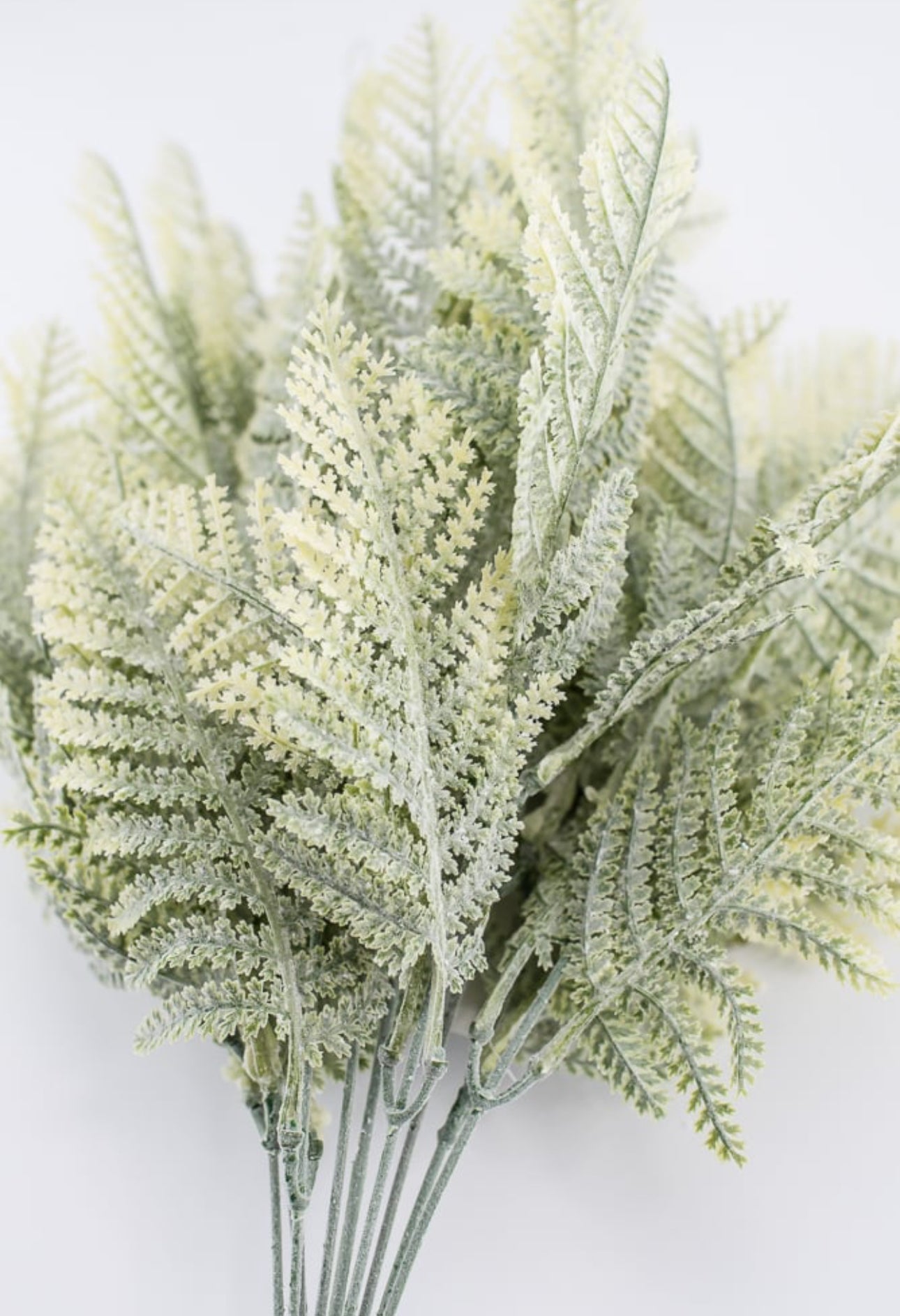 Artificial Winter leather leaf fern - snowy flocked - Greenery Market