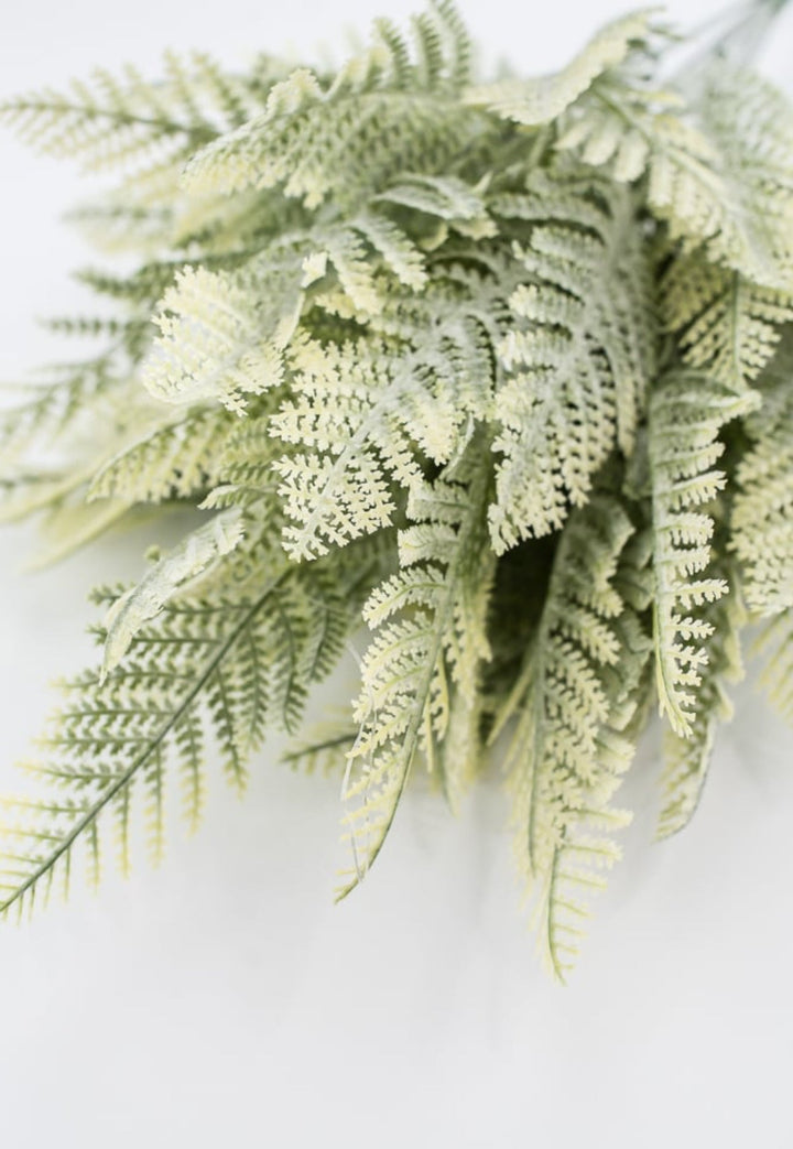 Artificial Winter leather leaf fern - lightly flocked - Greenery Marketgreenery81821