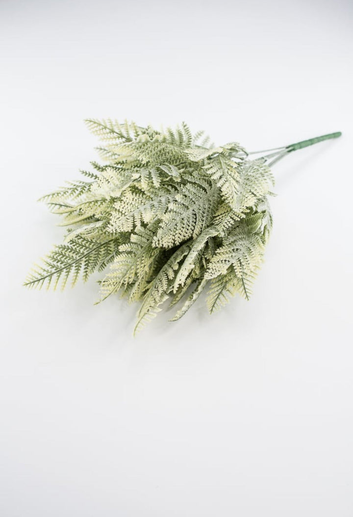 Artificial Winter leather leaf fern - lightly flocked - Greenery Marketgreenery81821