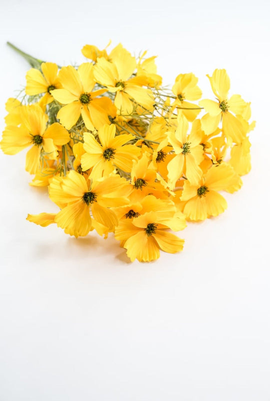 Greenery Market Greenery Market