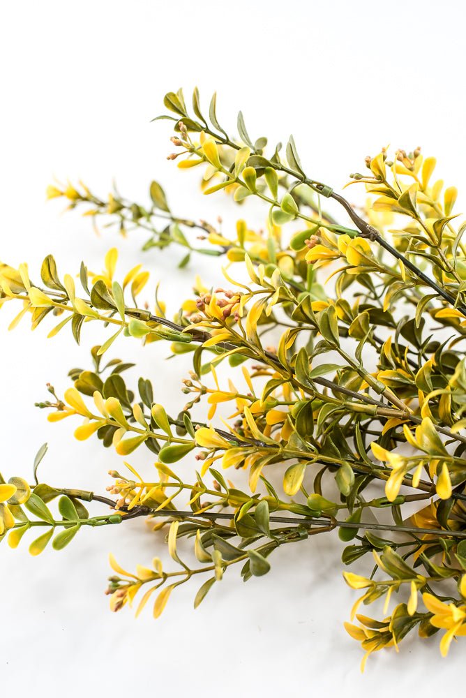Artificial, Yellow, Plastic Boxwood Bush - 18" - Greenery Market57519YW