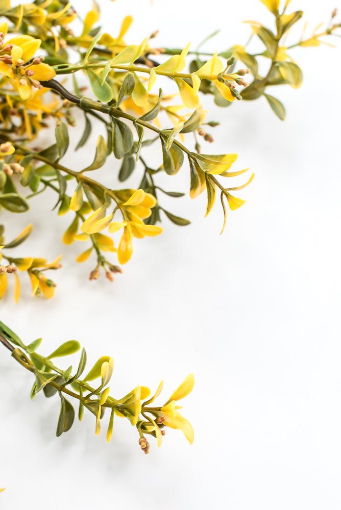 Artificial, Yellow, Plastic Boxwood Bush - 18" - Greenery Market57519YW