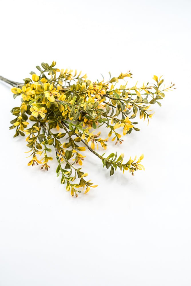 Artificial, Yellow, Plastic Boxwood Bush - 18" - Greenery Market57519YW
