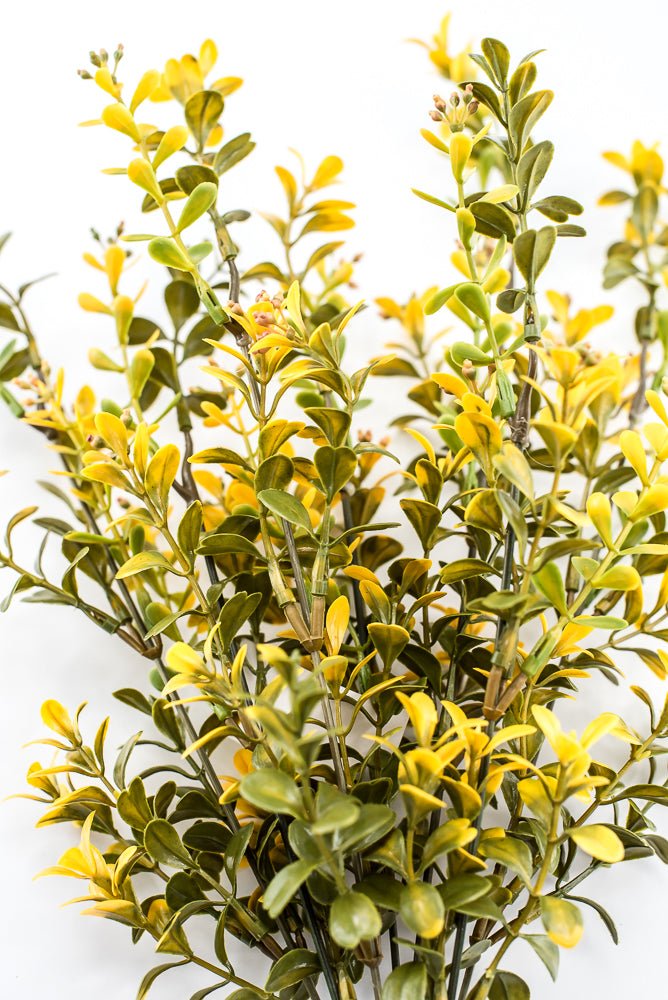Artificial, Yellow, Plastic Boxwood Bush - 18" - Greenery Market57519YW