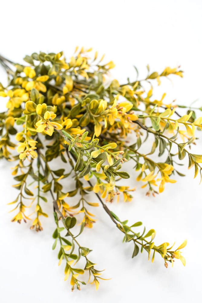 Artificial, Yellow, Plastic Boxwood Bush - 18" - Greenery Market57519YW