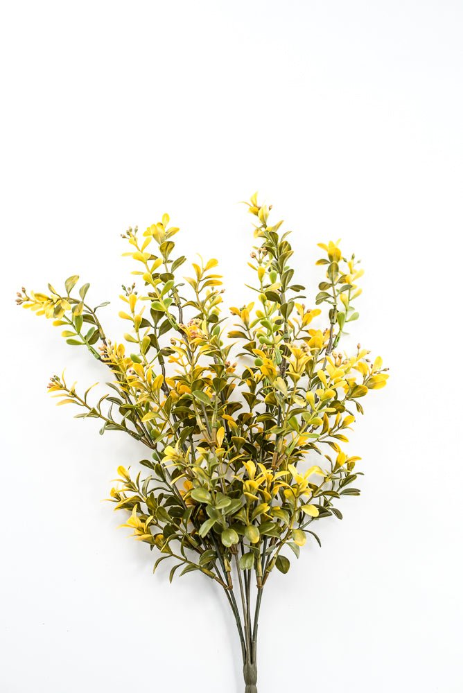Artificial, Yellow, Plastic Boxwood Bush - 18" - Greenery Market57519YW