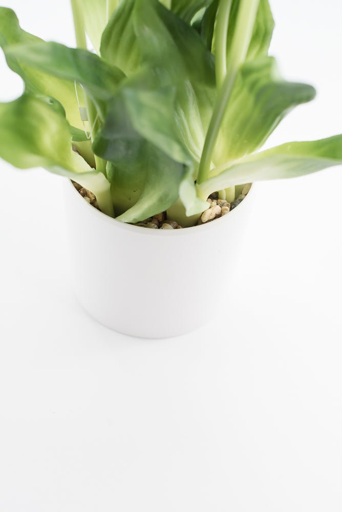 Artificial, Yellow, tulips in a container - Greenery Market6544-Y