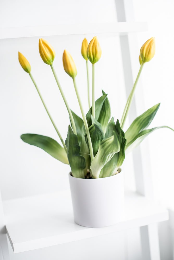 Artificial, Yellow, tulips in a container - Greenery Market6544-Y