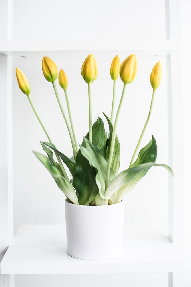 Artificial, Yellow, tulips in a container - Greenery Market6544-Y